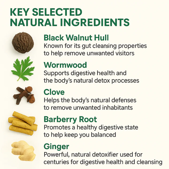 BLACK FRIDAY Wellvia™ Detox Pack